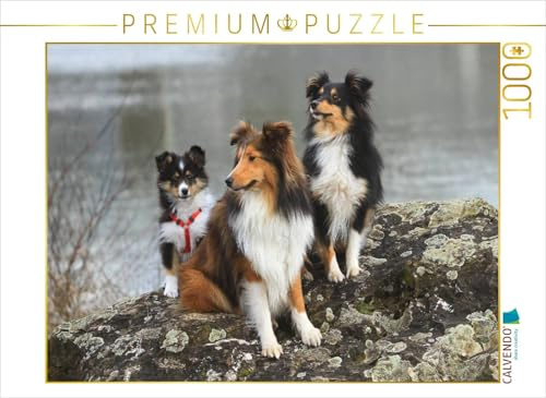 CALVENDO Puzzle Flusshunde | 1000 Teile Lege-Größe 64 x 48 cm Foto-Puzzle für glückliche Stunden