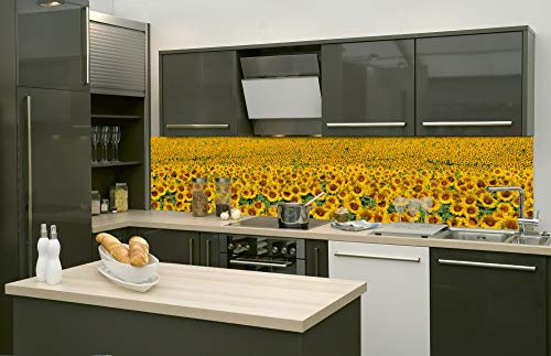 Dimex Küchenrückwand Folie selbstklebend SONNENBLUMENFELD | Klebefolie - Dekofolie - Spritzschutz für Küche | Made in EU - 260 cm x 60 cm