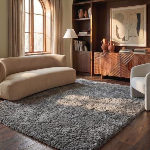 SAFAVIEH Area Rug 6x9 - Paris Shag Collection - Titanium Grey, Handmade, Soft Flowing Pile, Ideal for Living Room, Bedroom, Dining Space (SG511-8383)