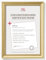 walther design JA130G Lounge Picture Frame, 8.25 x 11.75 inch (21 x 29.7 cm), Gold