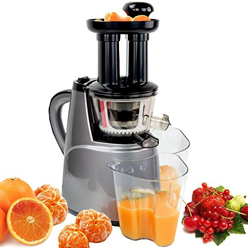 Syntrox Germany SJ-150W-AC Langsam Entsafter mit 2 Einschüben, Frucht Eismaschine und Salatfunktion Saftpresse mit nur 45 U/min Slow Juicer