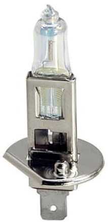 Xplorer Leuchtmittel Halogen Motorrad/Scooter H1 12 V 55 W Ersatzteile Moto Scooter