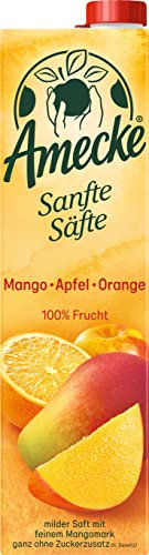 Amecke Sanfte Säfte Mango 6x1L