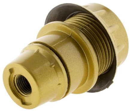 No Name 140714 Socket, Gold