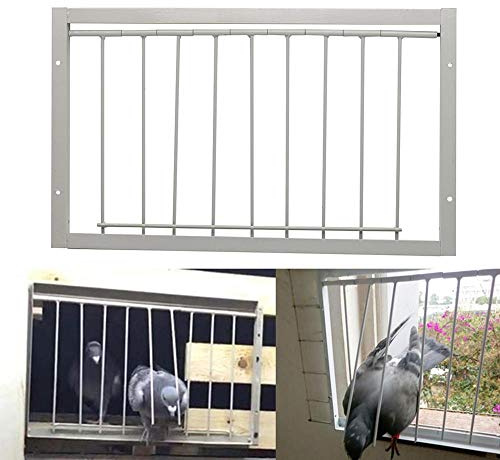 26cm(Tall)*30cm(Long) T-Trap for Pigeon Birds House Door