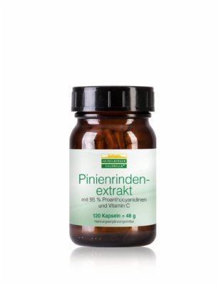 Pinienrindenextrakt Kapseln