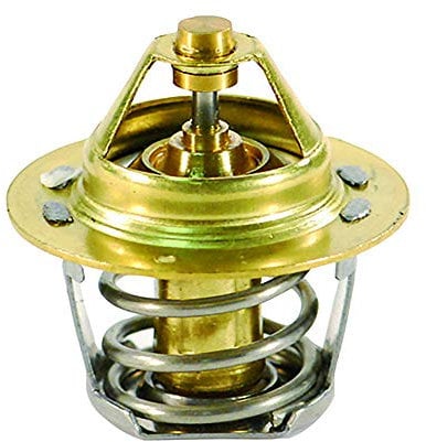 FAE 5204182 - Termostato, Refrigerante