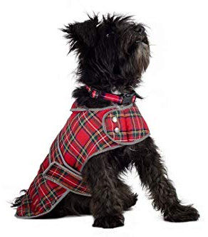 Ancol Muddy Paws Hunde-Jacke Highland Schottenmuster, Rot