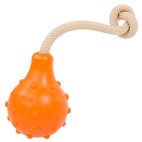 MAJORDOG Schwimmspielzeug Eddy, 20,3 cm, Orange