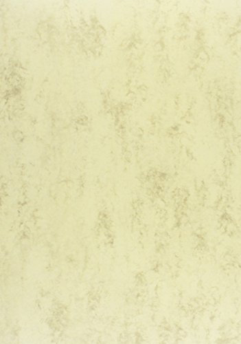 BRUNNEN 105141011 Multifunktions-Universalpapier (A4, 80 g/qm) chamois