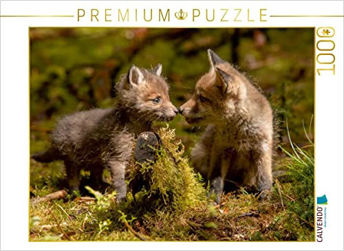 CALVENDO Puzzle EIN Motiv aus dem Kalender Bei den Jungfüchsen | 1000 Teile Lege-Größe 64 x 48 cm Foto-Puzzle für glückliche Stunden