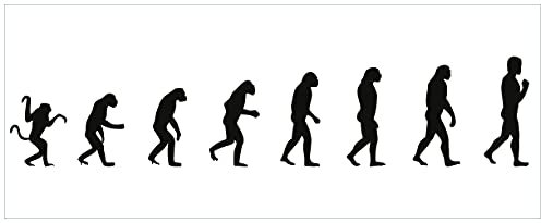 Wallario Poster - Evolution - Die Entwicklung des Menschen in Premiumqualität, Größe: 50 x 125 cm