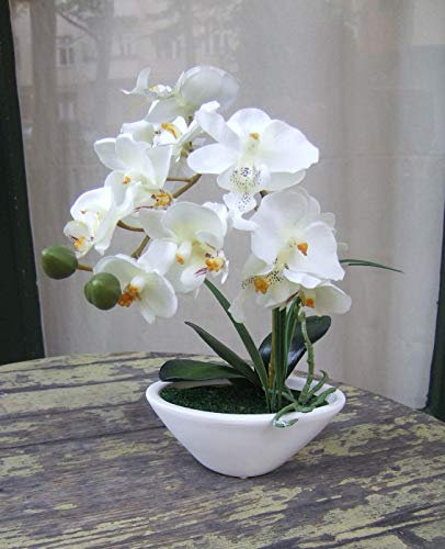 Licht & Grün exclusive Kunstpflanzen Künstliche Orchidee