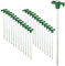 ToCi 24x Zelt-Heringe aus Stahl – Robuste Erdnägel mit Kunststoffhalterung - Felsbodenheringe Ø 7 mm, 25 cm lang - Zeltheringe für Harte Böden, Camping, Outdoor, Pavillon & Vorzelt