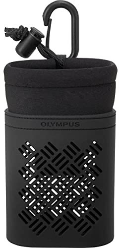 Olympus Smartglass Schutzbrille Ei-Og1