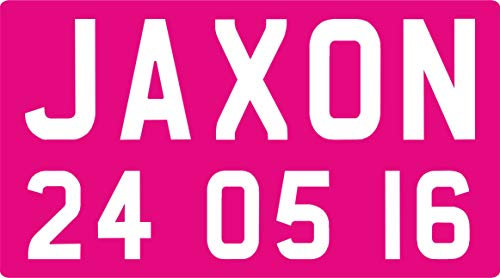 FSSS Ltd ENGRAVED NP NUMBER PLATES FOR CHILDRENS LITTLE TIKES COZY COUPE RIDE ON TOYS (PINK)