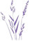 CLICKANDPRINT Aufkleber » Gräser, 30x21,1cm, Lavendel • Wandtattoo/Wandaufkleber/Wandsticker/Wanddeko/Vinyl