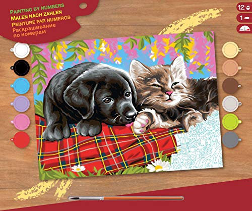 MAMMUT 8241107 - Malen nach Zahlen Senior, Hund und Katze, Komplettset mit bedruckter Malvorlage im A3 Format, 12 Acrylfarben, Pinsel und Anleitung, großes Malset ab 10 Jahre