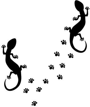 kleb-drauf® | 2 Eidechsen und 24 Pfoten | Schwarz - glänzend | Wandtattoo Wandaufkleber Wandsticker Aufkleber Sticker | Wohnzimmer Schlafzimmer Kinderzimmer Küche Bad | Deko Wände Glas Fenster Tür Fliese