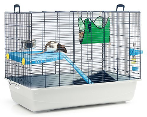 Savic Freddy 2 Ratten- und Frettchenkäfig, 80 x 50 x 63 cm, marineblau