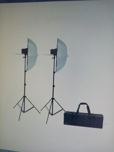 Dorr Ecoline DSU-110 W Studioblitz-Set mit 2 Kopf/Ständer/Octagon-Softbox, Schwarz