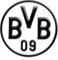 BVB 89140401 Auto-Aufkleber in Schwarz