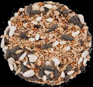 10 kg Großsittichfutter, Vogelfutter, Futter Sittich