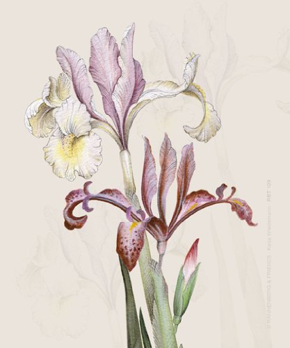 Rannenberg und Friends Brillenputztuch Iris