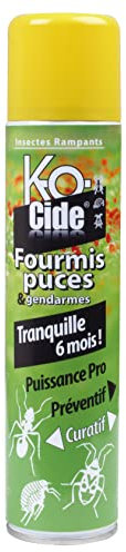K-OCIDE - Laque Anti-Rampants - Fourmis, Puces & Gendarmes - Spécial Invasions - Action Persistente - 300 ml