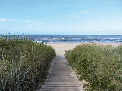 1art1 Strände Weg Zum Meer, 2-Teilig Selbstklebende Fototapete Poster-Tapete 240x180 cm
