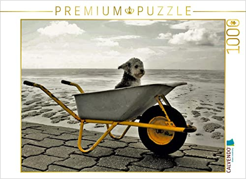 CALVENDO Puzzle EIN Motiv aus dem Kalender Bolonka 2017 | 1000 Teile Lege-Größe 64 x 48 cm Foto-Puzzle für glückliche Stunden