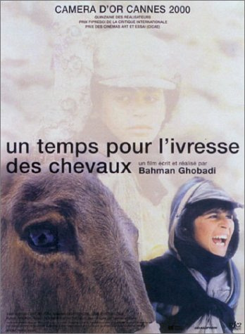 Un temps pour l'ivresse des chevaux [FR Import]