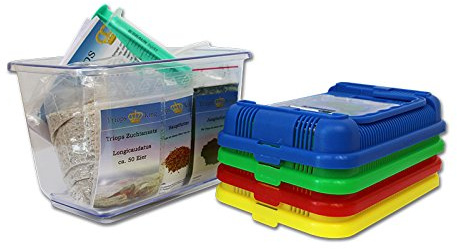 Urzeitkrebse Einsteiger Set I von Triops King mit 50 Eier und einem grünen Deckel - Inkl. Aufzuchtbecken, Futter, Anleitung, Sand, Triopseiern der Art Longicaudatus und Reinigungsspritze
