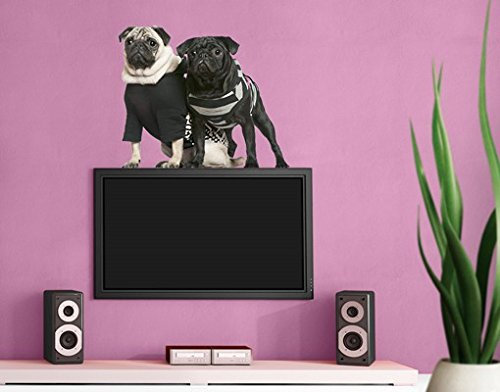 Apalis Wandtattoo No.600 Mops Fashion 70x60cm Wandsticker Kinderzimmer Hunde Welpen, Größe:60cm x 70cm