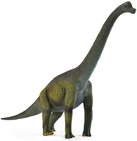 Collecta - Brachiosaurus - Figura Coleccionable - Tamaño L - (Deqube 90188121)