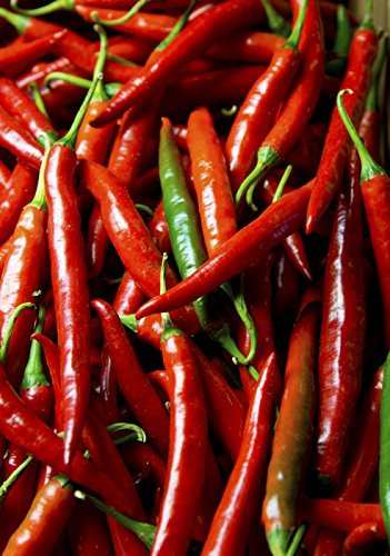 Seedeo® Peperoni Sigaretta (Capsicum annuum) 20 Samen Bio
