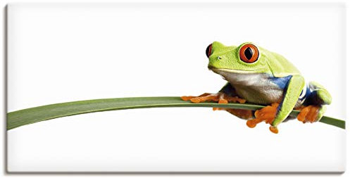 ARTLAND Wanddeko Leinwand Bilder Wandbild 100x50 cm Frosch Tiere Natur Pflanze Blätter Gräser T0OE