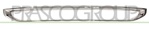 PRASCO CI2042206 Frame Door Mirror cover