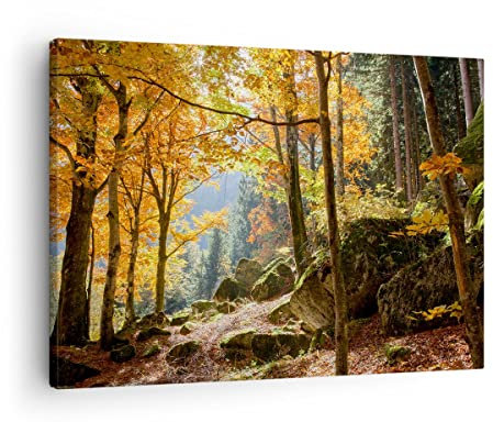 Moderne Impression sur Toile Automne montagne forêt nature Image Tableau Decoration Murale 70x50cm Deco Cadre Décoration Salon Chambre Horizontal Tableaux Decoratifs Muraux Art Wall AA70x50-2713