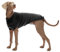 Croci C7074840 Rollkragenpullover, Stoccolma Schwarz, 35 cm