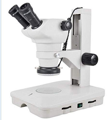 Gowe Fernglas Stereo Biologie Mikroskop Extra Weitfeld Okular EW10*/22