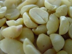 Erdnussbruch , 1KG , die Tüte zu 1000g Vogelfutter,