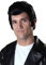Adult Grease Danny Wig Standard