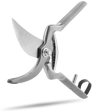 STOCKER - Robuste Profi-Bypass Baumschere 21 cm, Rutschfester Griff, Hochwertiger Stahl, 302 g, vielseitig für Rosen, Reben, Ernte, Äste. Schnittstärke bis Ø 20 mm