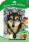 Mammut 105067 – Kit de Peinture par numéros au Motif Animal, Loup, kit Complet avec modèle de coloriage imprimé au Format A4, 7 peintures acryliques et pinceaux, kit de Peinture pour Enfants à partir