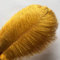shekyeon Straußenfedern 12-14inch(30-35cm) Strauß Feder Dekofedern DIY Basteln Zubehör für Hochzeitsdekoration 10 Stück (goldfarben)