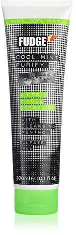 Fudge Cool Mint Purify Shampoo, 1 Stück
