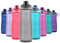 Pogo BPA-freie Kunststoff-Trinkflasche mit Chug-Deckel, 900 ml, 233-0432-041, grau, 32 OZ