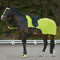 WALDHAUSEN Reflex Nierendecke Unisize, neon gelb
