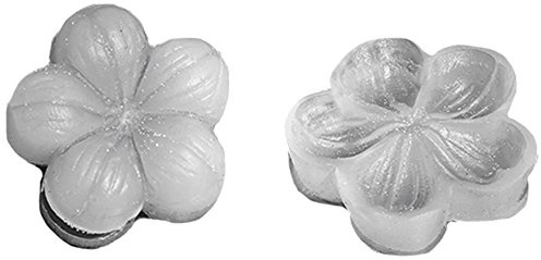 Silikomart 71.929.86.0096 Backform für Teig modellierbar SLK929, Blattform, Silikon, Transparent